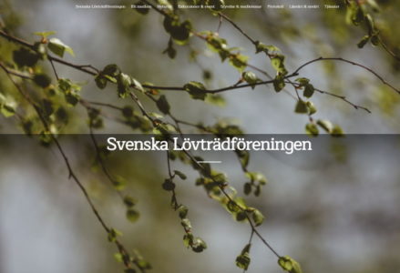 Hemsida Svenska Lövträdföreningen
